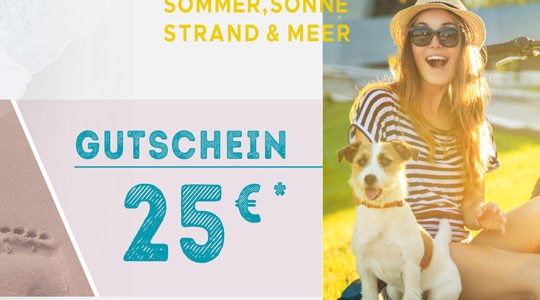 Der Sommer kann kommen